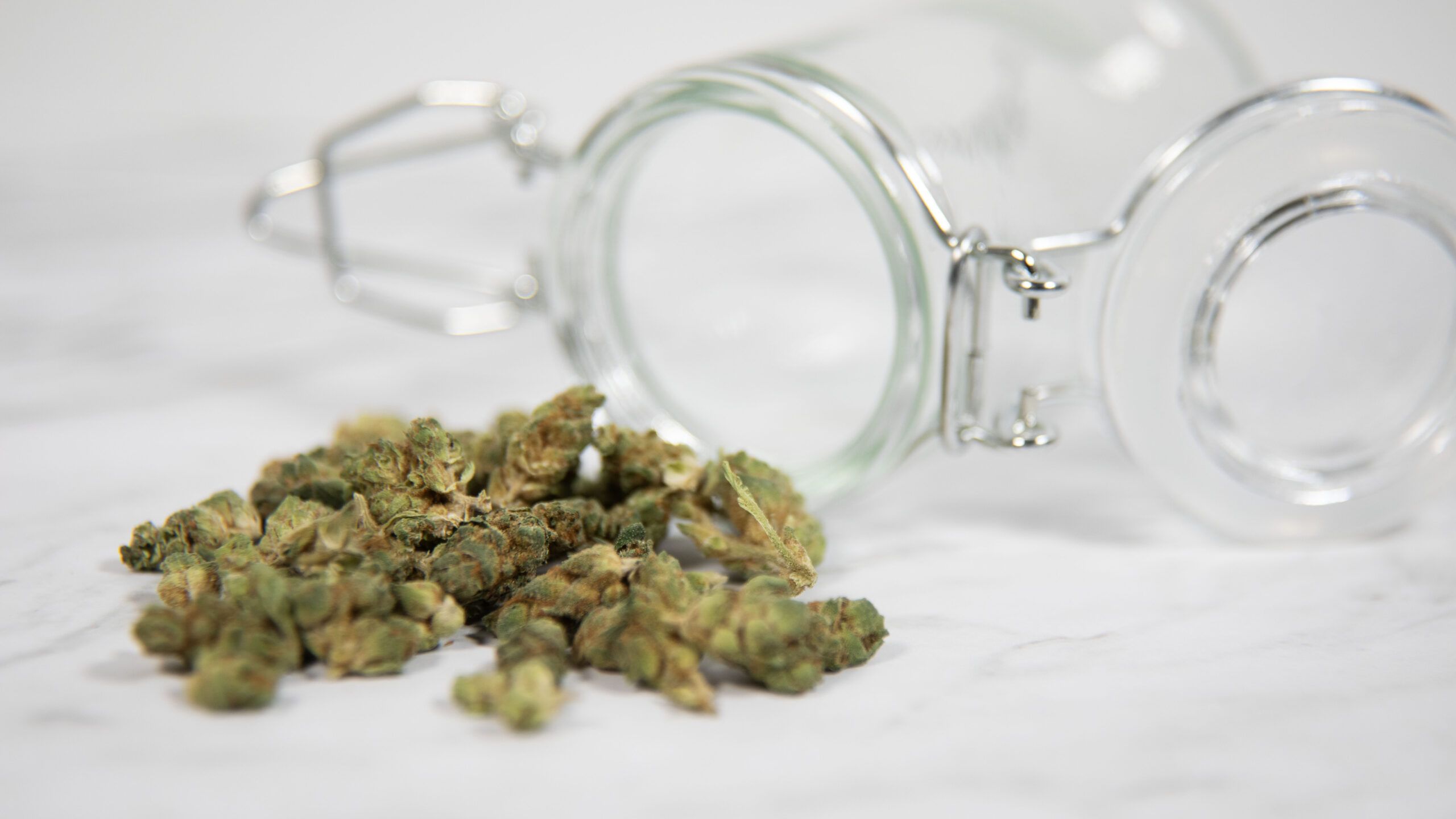 Couch or Counter? Why Cannabis Delivery Might Be the Future for Everyday Consumers